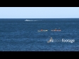 Canoes & Jetski 1781